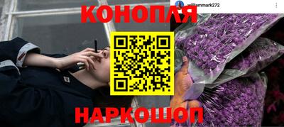 ГАЛЛЮЦИНОГЕННЫЕ ГРИБЫ Пенза