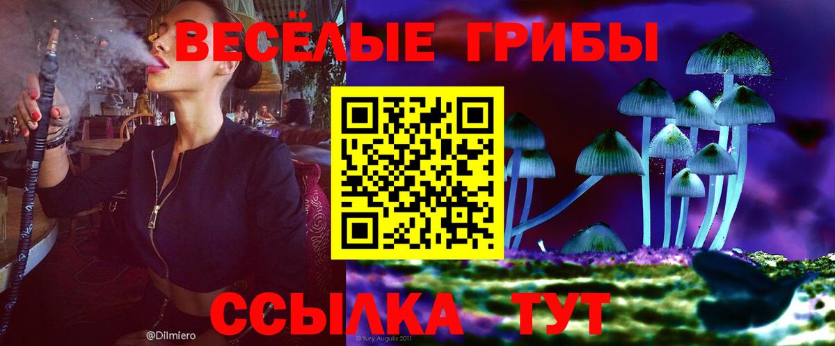 купить наркоту  Псилоцибиновые грибы прущие грибы  Вход с VPN  Ревда 